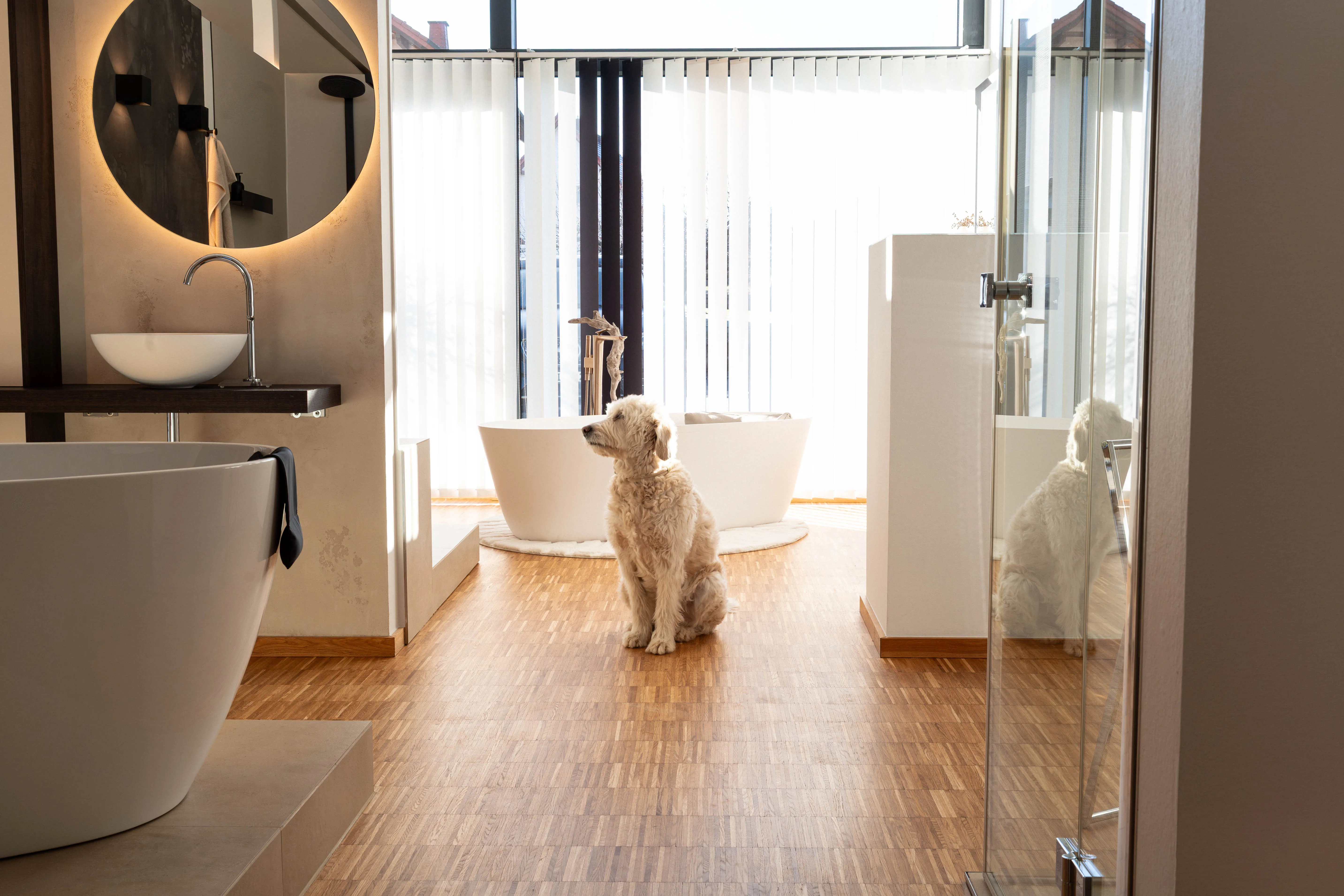 Ausstellung Zirkelbach Hund