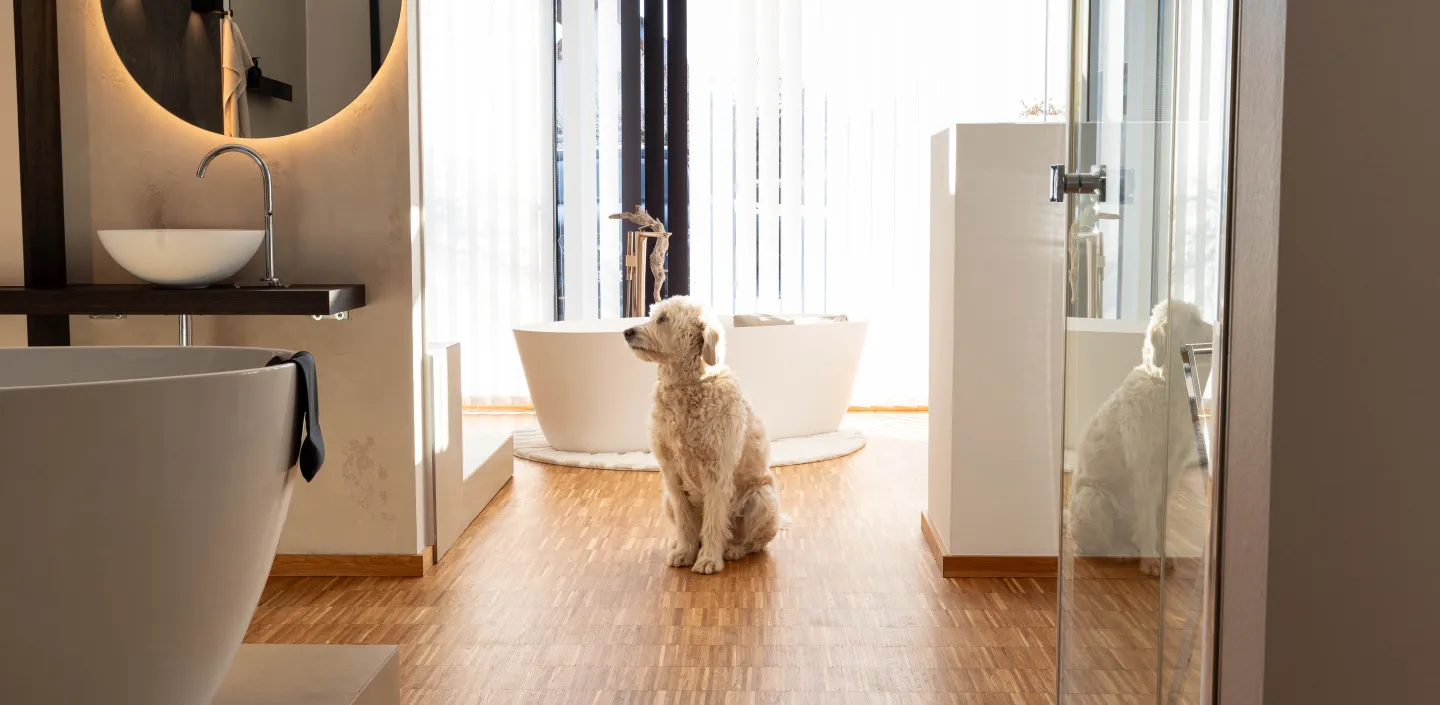 Ausstellung Zirkelbach Hund